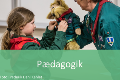 Pædagogik