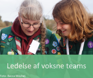 Ledelse af voksne teams