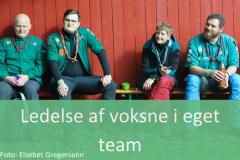 Ledelse af voksne i eget team